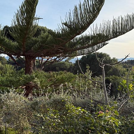 Villa Carpe Diem Le Lavandou Exteriér fotografie