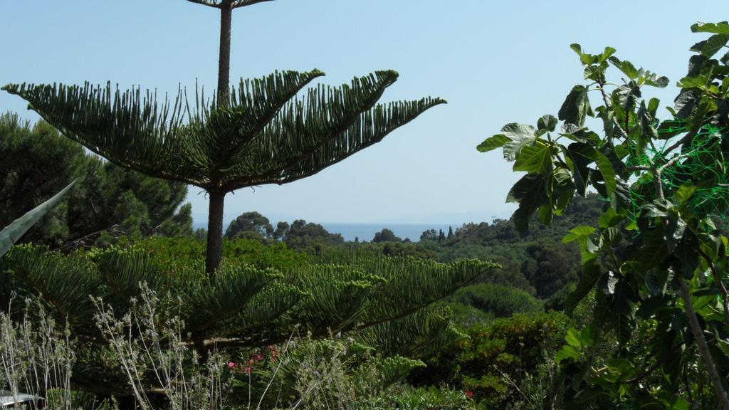 Villa Carpe Diem Le Lavandou Pokoj fotografie