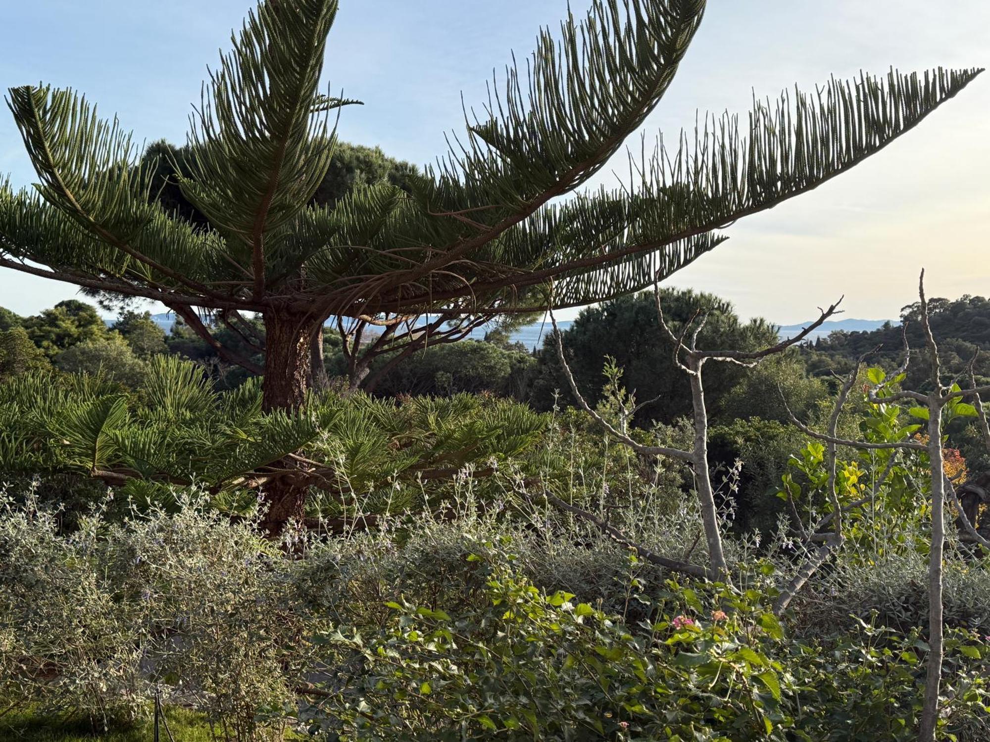 Villa Carpe Diem Le Lavandou Exteriér fotografie